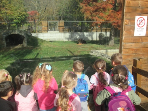Grădinița Alămor - vizită Grădina Zoologică