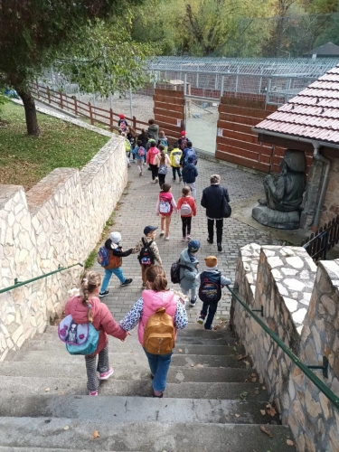 Clasele I-IV Alămor - vizită Grădina Zoologică